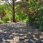 Bed & Breakfast Quinta Da Ermida - Turismo De Habitacao Baiao