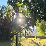 Quinta Da Ermida - Turismo De Habitacao Baião