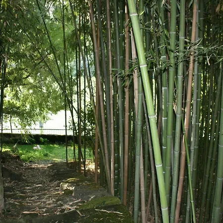 Frühstückspension Quinta Da Ermida - Turismo De Habitacao 4*