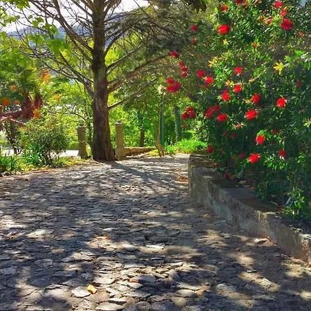 Frühstückspension Quinta Da Ermida - Turismo De Habitacao Baião