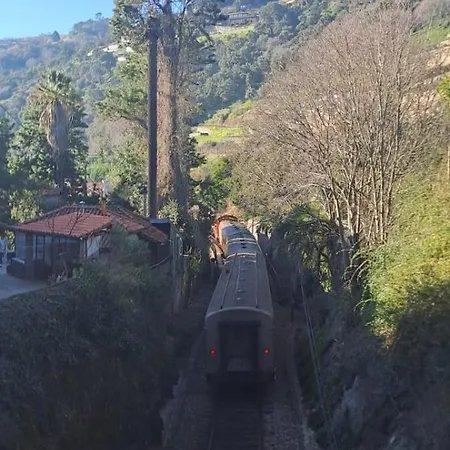 Frühstückspension Quinta Da Ermida - Turismo De Habitacao Baião