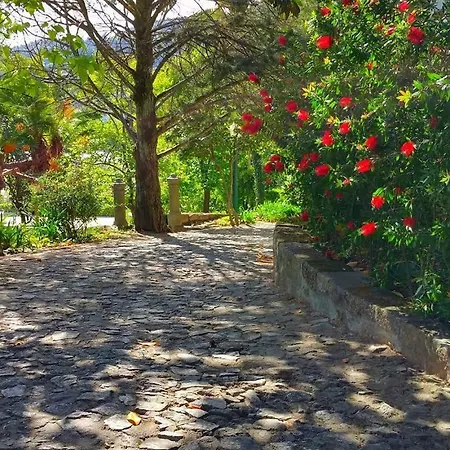 Frühstückspension Quinta Da Ermida - Turismo De Habitacao