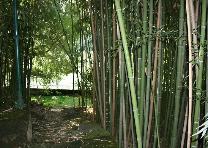 Bed & Breakfast Quinta Da Ermida - Turismo De Habitacao 4*