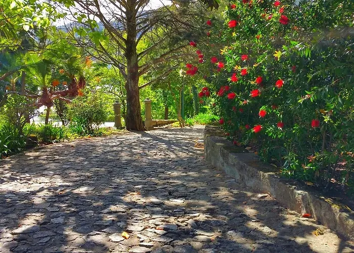 Bed & Breakfast Quinta Da Ermida - Turismo De Habitacao Baião