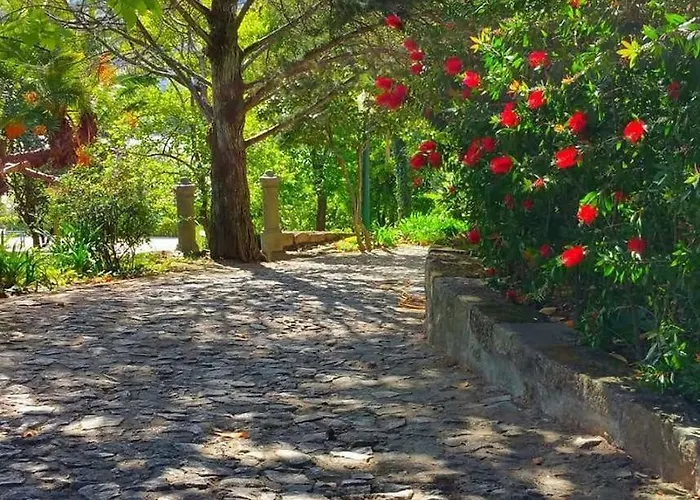 Bed & Breakfast Quinta Da Ermida - Turismo De Habitacao